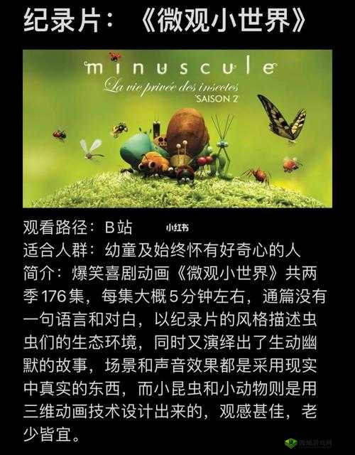 世界上最小 BB 有几个:探秘世界纪录