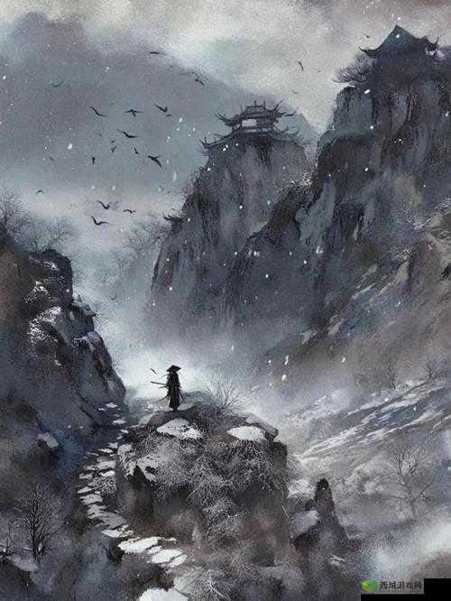 《剑影之谜:海山流秘密组织揭秘》