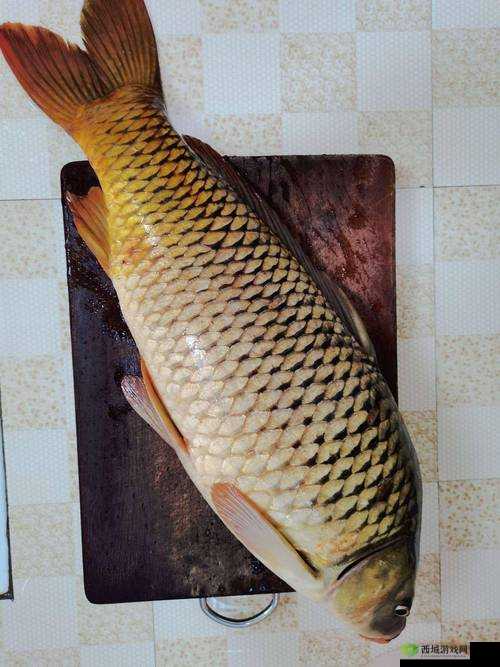 探寻渔获秘密：疯狂脑洞大开第30关挑战指南及钓到的鱼隐藏地点揭秘