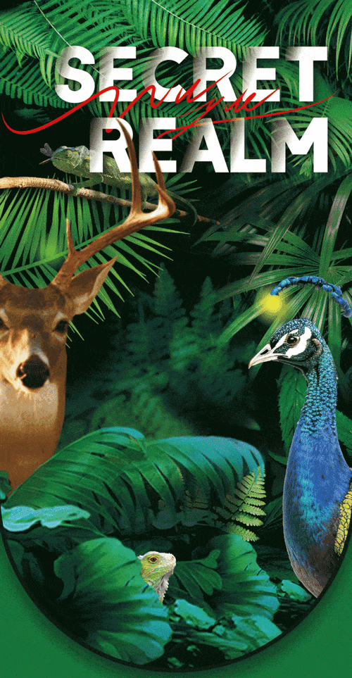 缺氧热带雨林：神秘元素生物与独特植物探秘之旅