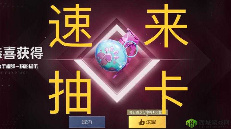 和平精英：粉粉猫爪升级之旅，皮肤6级所需费用揭秘