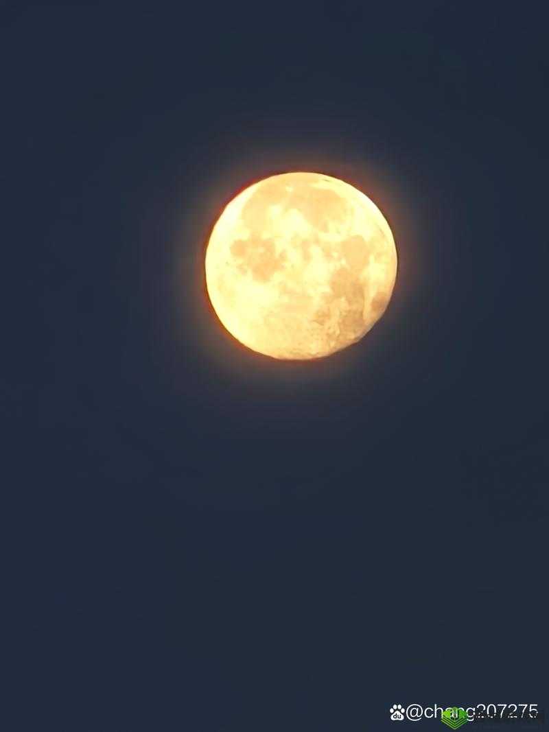 张少爷江湖奇遇：包裹之谜的揭秘