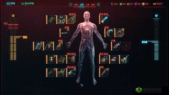 《赛博朋克2077:手臂义体推荐》