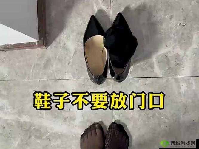 正能量不良 WWW 免费窗口:畅享优质资源