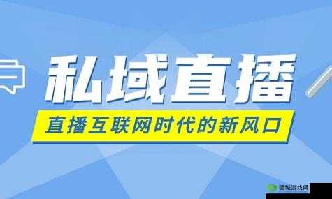 私域直播：开启线上营销新渠道