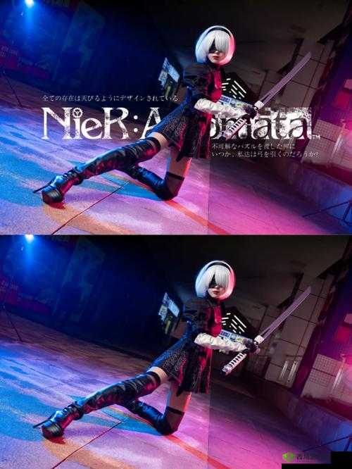 尼尔机械纪元机械生命体之枪获取攻略：获取方法与步骤详解