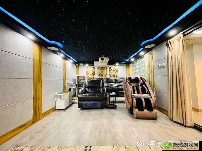 私人家庭影院 3355:畅享极致视听盛宴