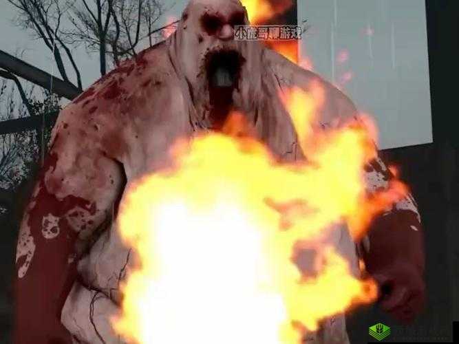 求生之路 2 剧情顺序观看指南