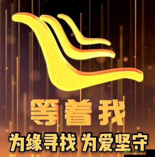 yw193coc 永不失联:爱的坚守