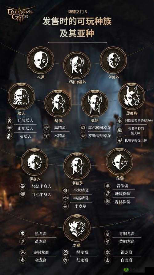 《博德之门3：子职业图鉴与深度解析》