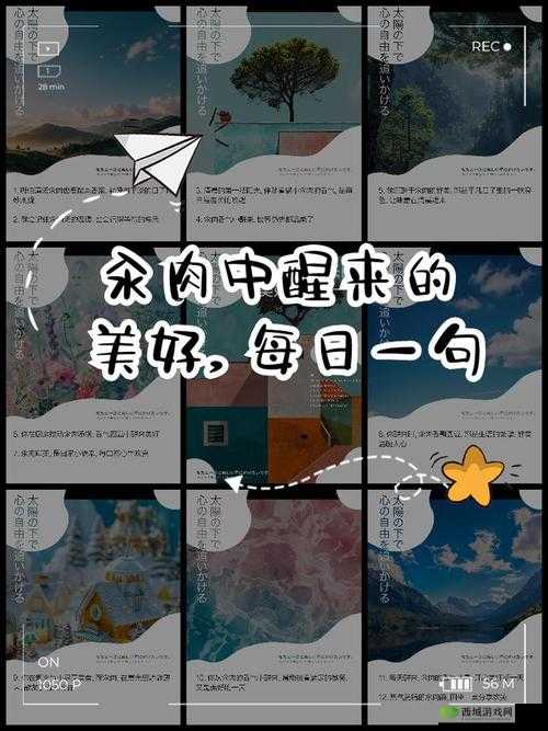 每天在汆肉中醒来：探寻独特的美食体验