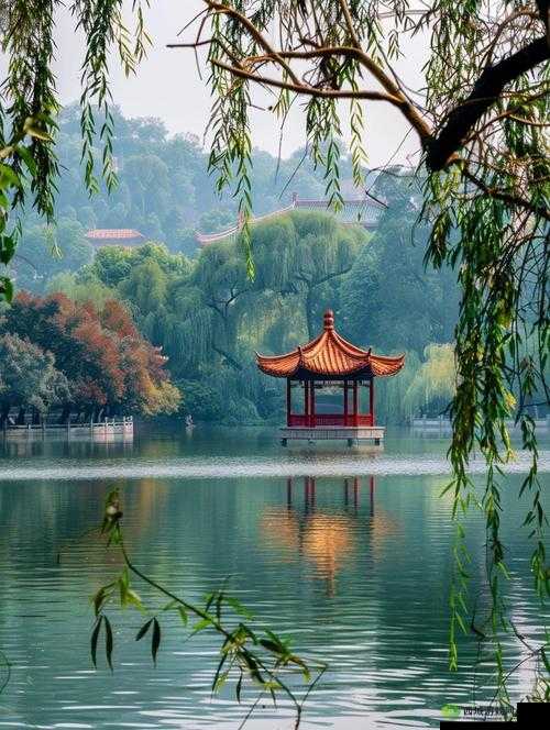 网论坛：之美，一网情深