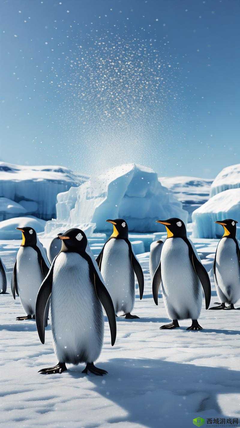 ZOOM 动物高清:领略动物世界的精彩