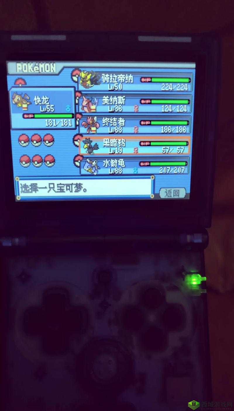 口袋妖怪逆袭双开软件免费福利全开,全新体验尽享无忧