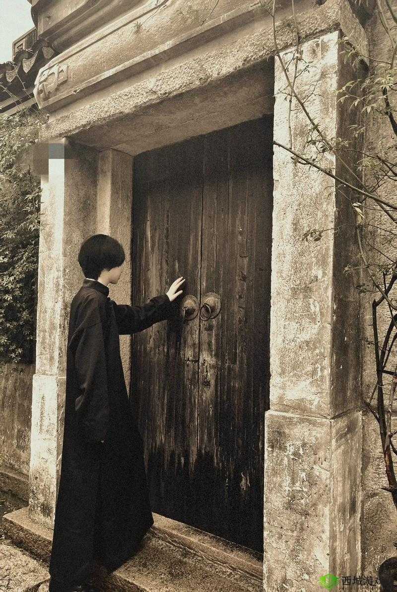 JY 改造系统人越变越美古代：盛世美颜的秘密