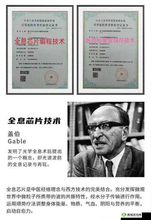 性鸥美：展现其完整性与美好