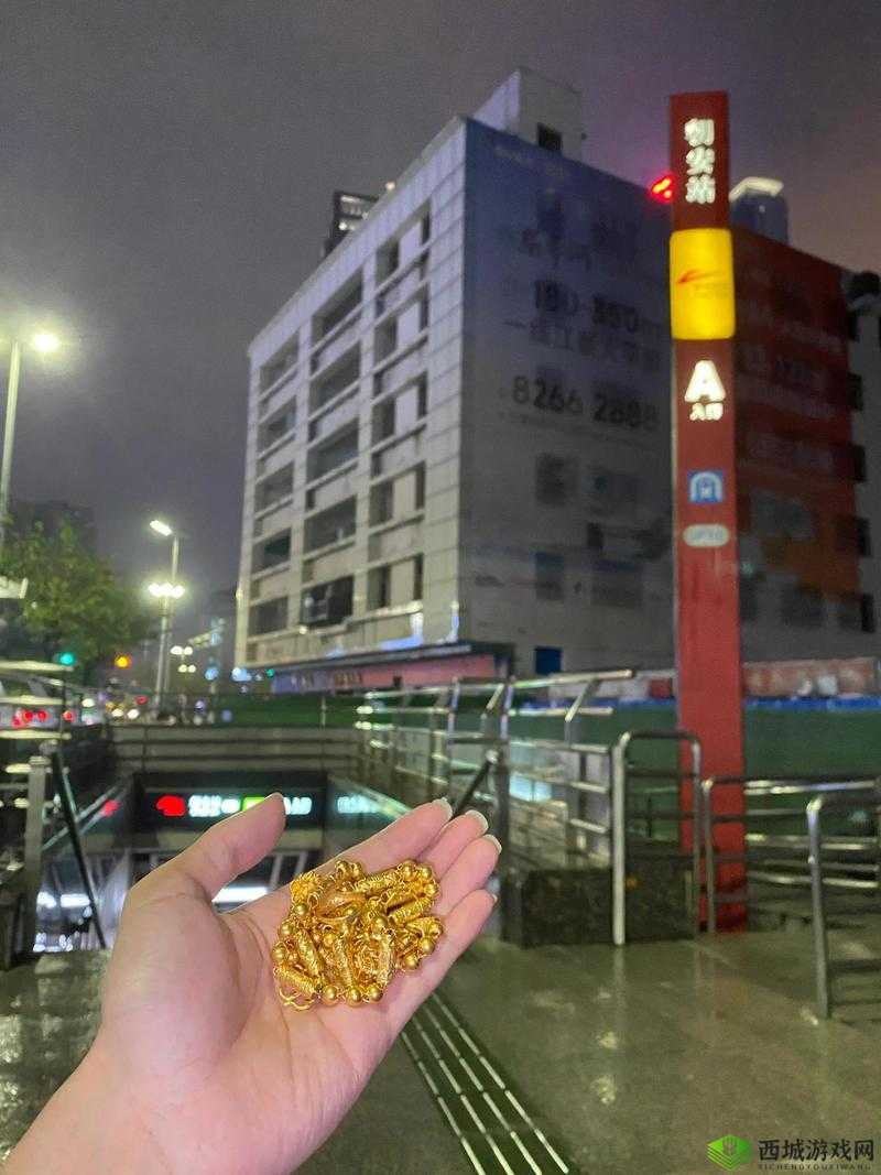 黄金网站91入口：带你领略精彩世界