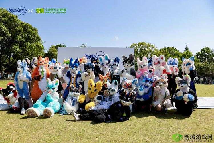 人与兽的奇妙邂逅