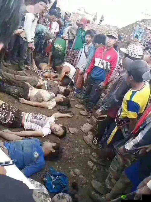 缅北诈骗视频免费观看：揭秘诈骗产业链