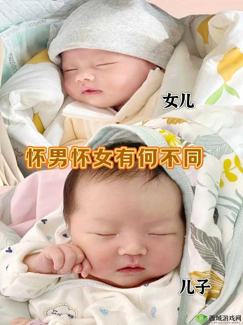 宝宝怎么才两根就哭男男:背后原因引人深思