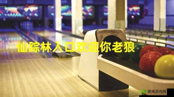 仙踪林官方网站入口欢迎您：畅享美味之旅