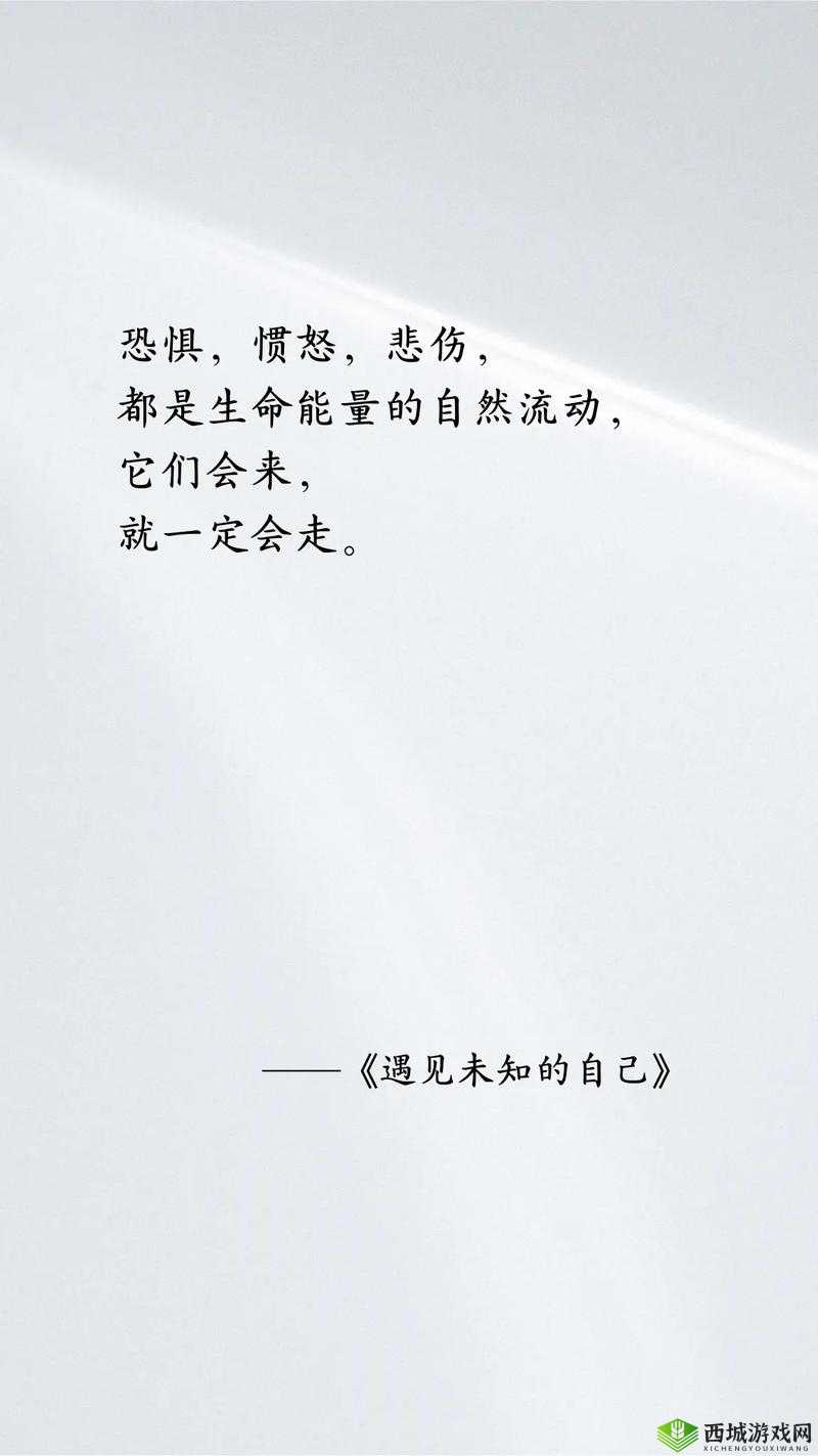 五月婷婷俺也去开心：追寻内心的快乐之旅