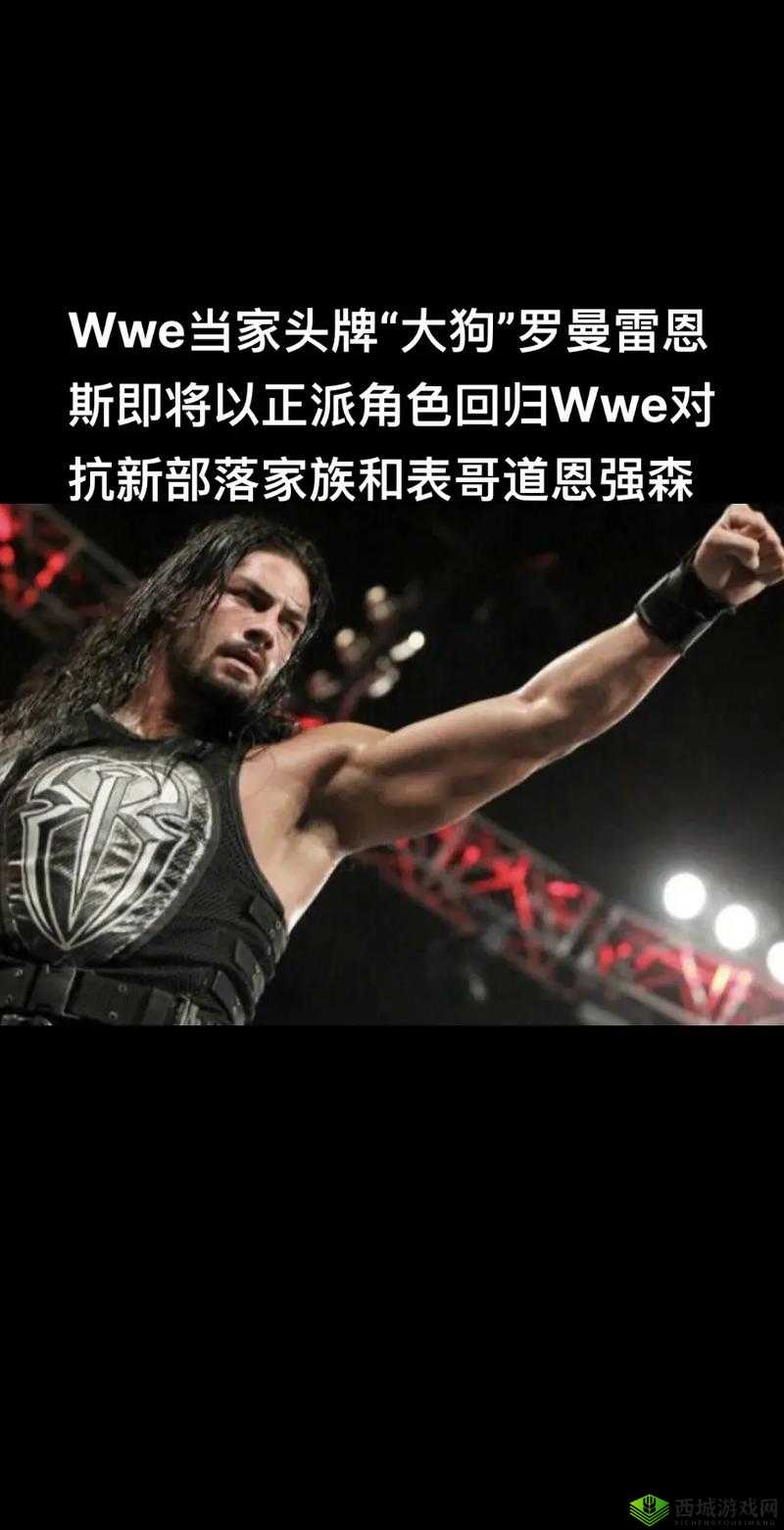 欧美另类Z0ZXXX在WWE：精彩对抗瞬间
