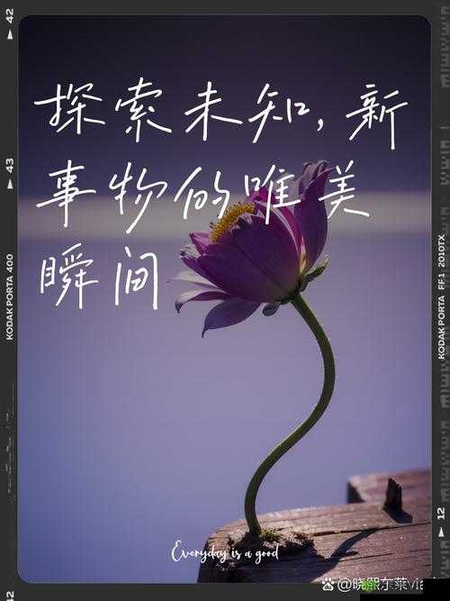 17c13.cin 视频:探索未知的奥秘