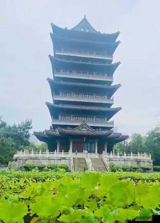 清风阁我爱干在线观看：精彩不容错过