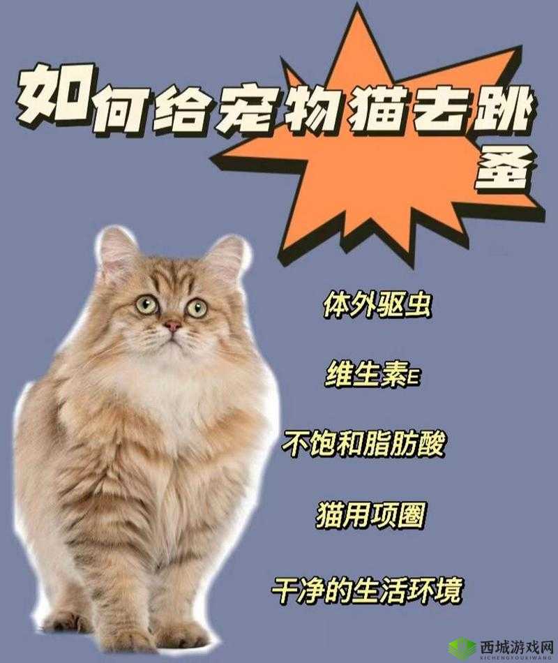 梅露可物语英雄攻略：通兽语者罗尼塞拉实战指南