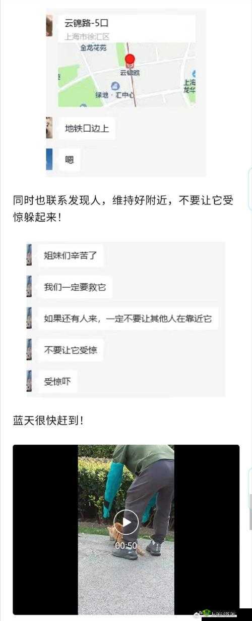 蝌蚪窝释放一人相关事件后续进展