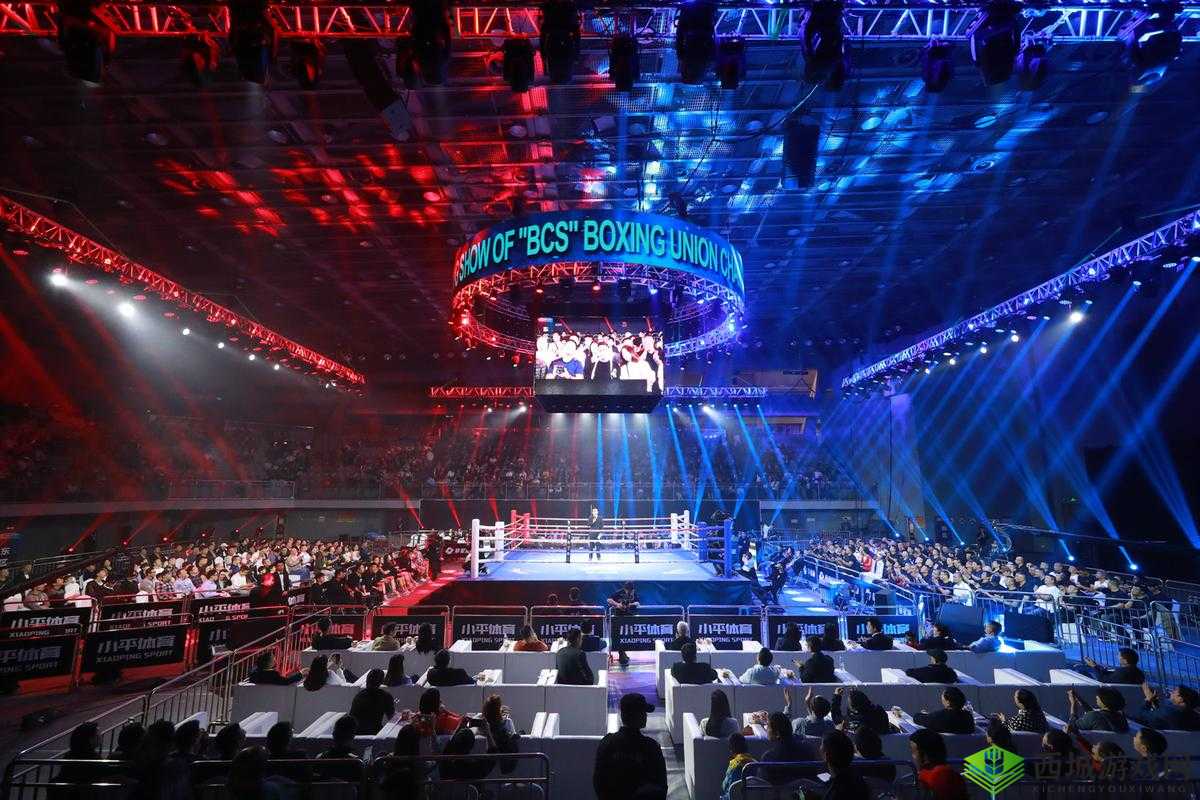 拳击热血，俱乐部之力，拳艺荣耀竞技场