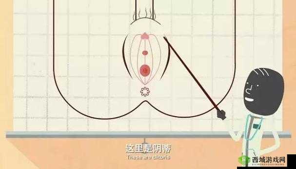 夹 r 头多久：因人而异的私密体验