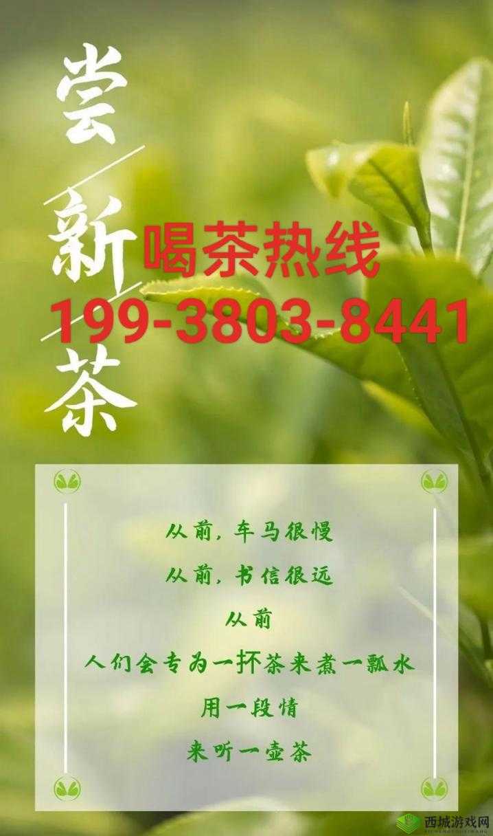 三亚新茶嫩茶 wx:享受清新茶饮时光