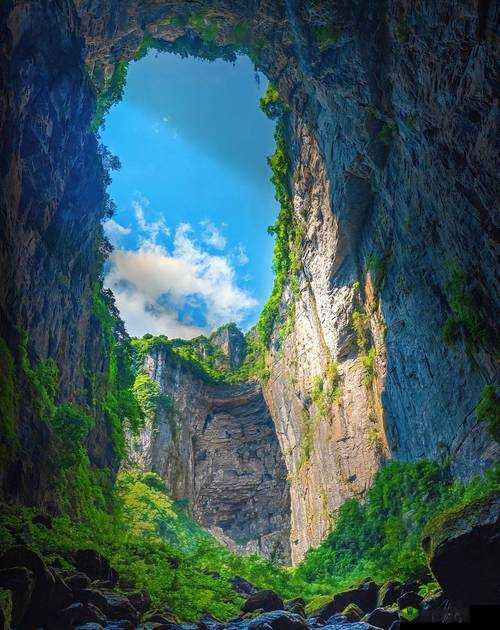 手指历险记新手攻略：高分技巧全析，助你畅玩无忧