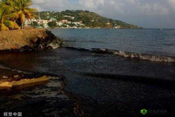 嘼皇Ⅴideos3D 极品另类 video：兽皇的视觉盛宴