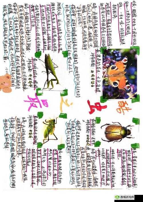 《害虫风采：独特特色抢先看》