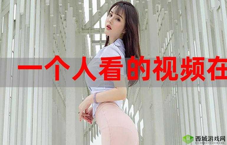 插曲视频在线观看免费版高清：精彩不断，免费畅享