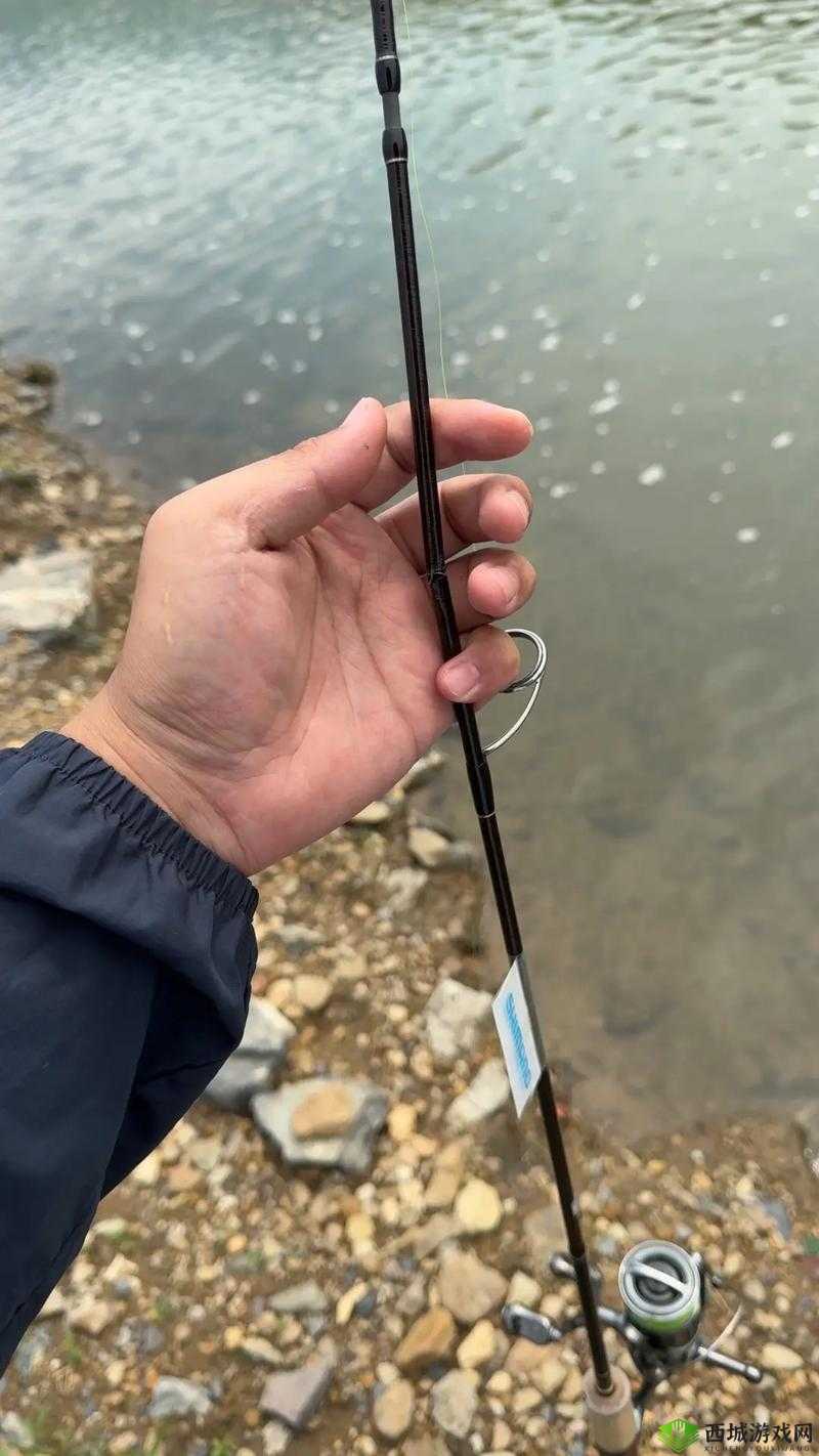 一夹一摇和鲤鱼吸水:两种不同的行为