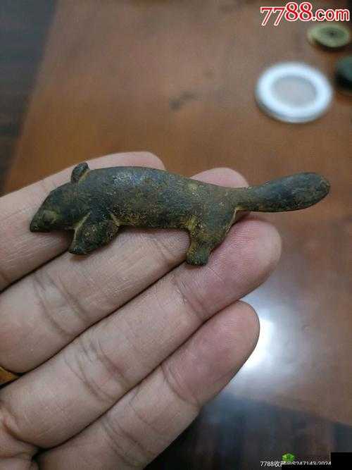 铜铜铜很大很硬：令人惊叹的特征