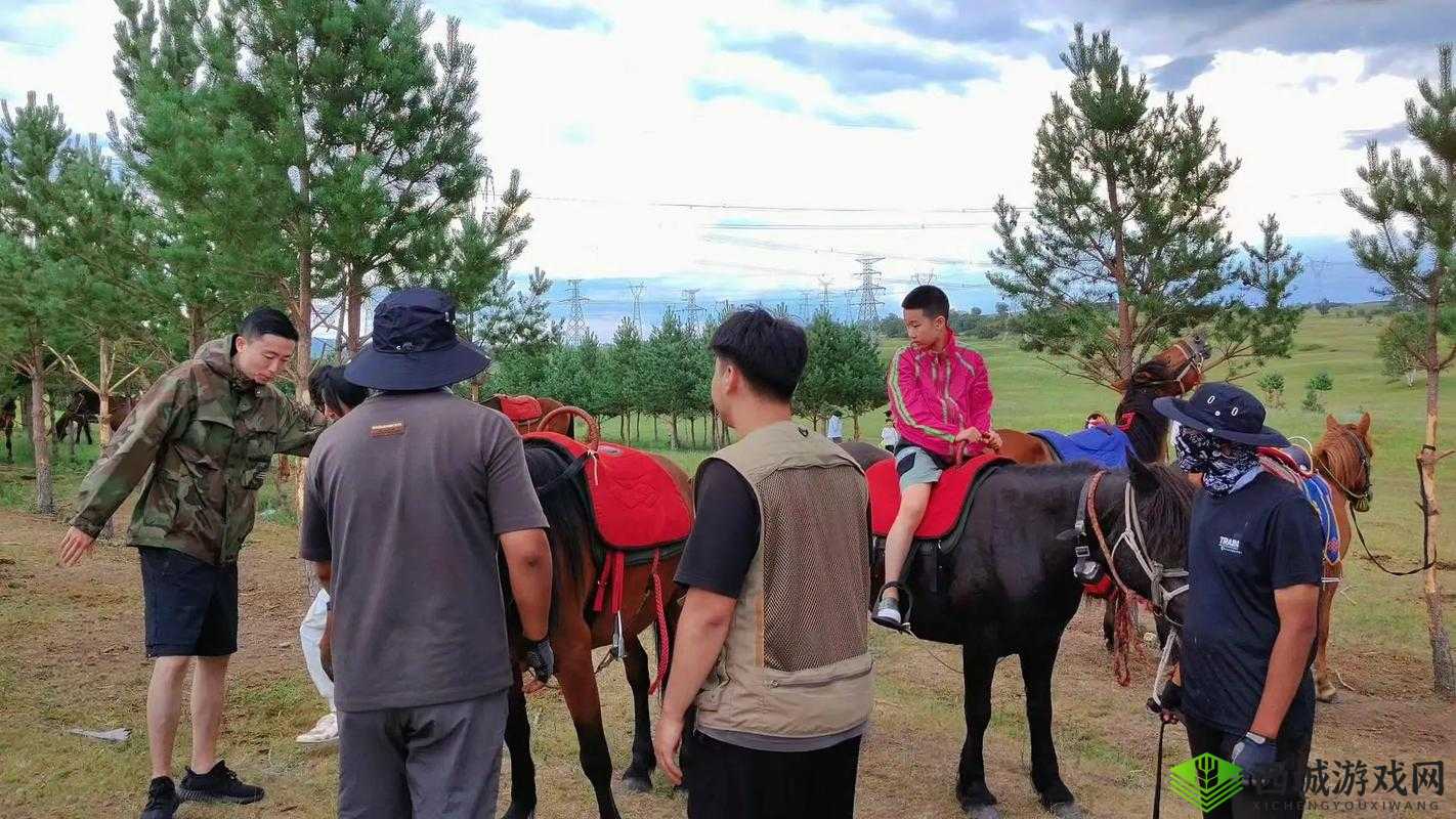 深入交流骑马：分享技巧与心得