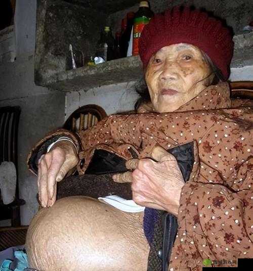 一级特黄老太婆大片：极具刺激的感官体验