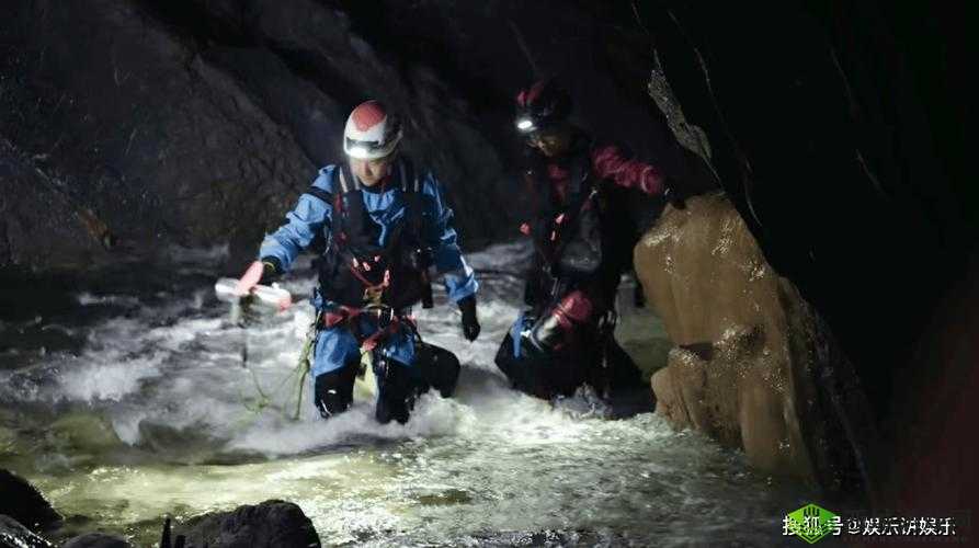 密臂：探索未知的力量