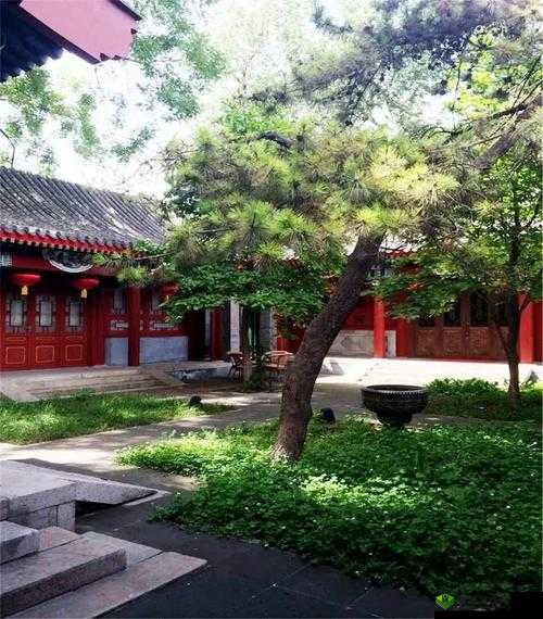 ：下载人与兽黄片，感受别样刺激