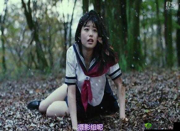 日韩午夜成人：探索未知的成人世界