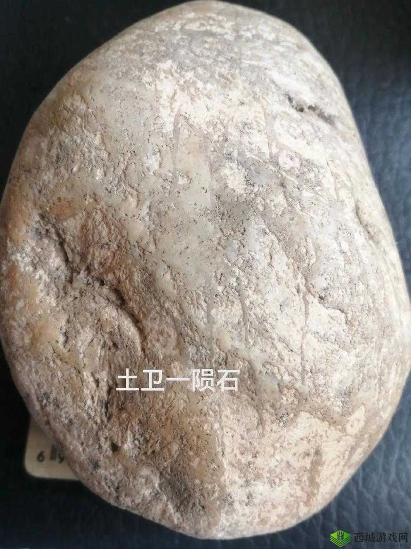 男生将坤坤申请女生定眼里黄中黄之解析