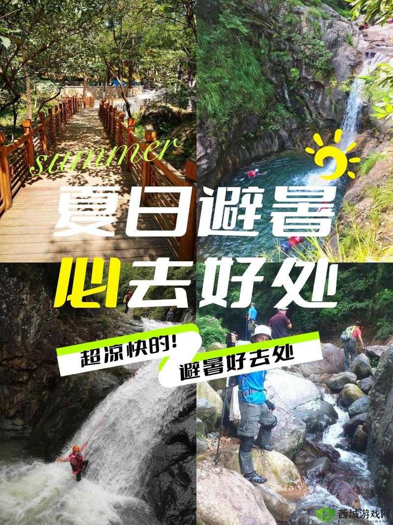 天堂在线:全新体验等你来