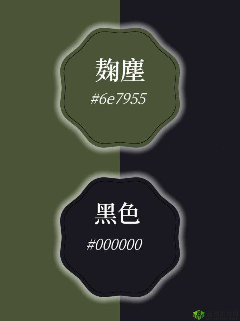 色哟哟.c 的独特魅力呈现