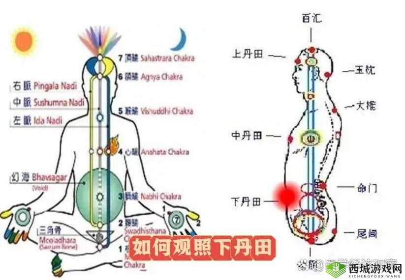 2 月 9 日楚留香坐观万象打坐点一览 武当玉虚宫为中心详细位置介绍及攻略