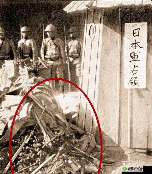 96 日本相关事件回顾